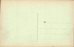 CPA Palais de Fontainebleau Cour des adieux vue prise de la Terrasse 