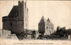 CPA Cite de Carcassonne les Remparts exterieurs et la Porte de Narbonne 