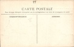 CPA La Cite de Carcassonne le Chateau vue d'ensemble 