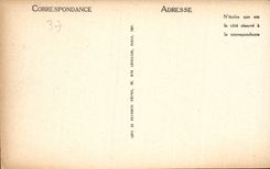 CPA Tours Musee des Beaux Arts 