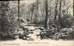 CPA Bagneres de Bigorre Sous Bois 
