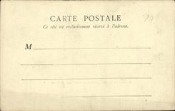 CPA Palais de Fontainebleau Cour des Adieux 