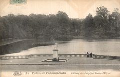 CPA Palais ed Fontainebleau l"Etang des Carpes et Statue d'Ulysse 