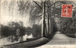 CPA Fontainebleau Le Palais Allee de Sully 