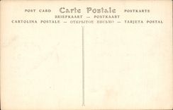 CPA Palais de Fontainebleau vue prise du Parc 