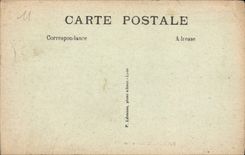 CPA Carcassonne La Cite Vue d'Ensemble 