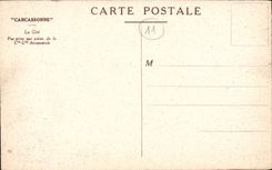 CPA Carcassonne La Cite Vue prise par avion 