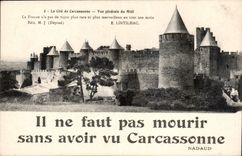 CPA La Cite de Carcassonne vue generale du Midi 