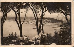 CPA Nice vue entre les Pins 