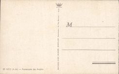 CPA Nice A M Promenade des Anglais 