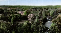 CPA Vallee de la dronne vue de la Terrasse de la roche Chalais 