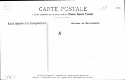 REPRO Le ferrrage d'un bœuf