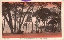 CPA Juan les Pins A M la Pinede 