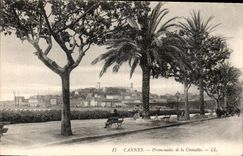 CPA Cannes Promenades de la Croisette 