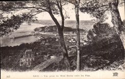 CPA Nice vue prise du Mont Boron ontre les Pins 