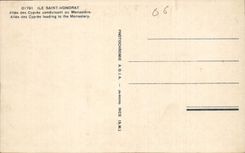 CPA Ile Saint Honorat Allee des Cypres conduisant au Monastere 