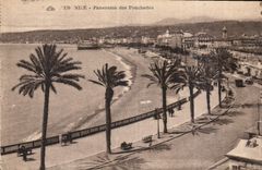 CPA Nice Panorama des Ponchettes 