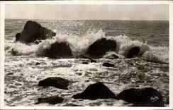 CPA La Mediterranee la cote d'Azur 