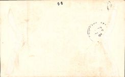 CPA Nice Les Nouveaux Jardins Casino entre les Palmiers 