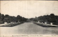CPA Parc du Palais de Compiegne l'Avenue des Beaux Monts 
