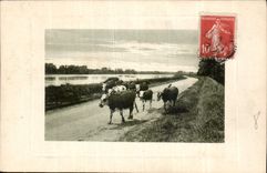 CPA Vaches