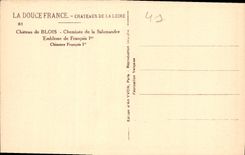 CPA Chateaux de la Loire Chateau de Blois Cheminee de la Salamandre Embleme de Francois Ier Chimney 