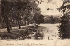 CPA Lyon Parc de la Tete d'Or le Coin Aux Cygnes 