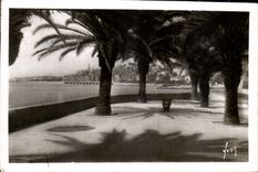 CPA Menton Alpes Mmes la vile vue a travers les Palmiers 