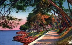 CPA Menton le Cap Martin 