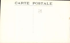 CPA Parc de Versailles Bassin de Neptune 