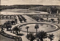 CPM Versailles L'Orangerie et Piece d'eau des Suisses 