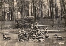 CPM Versailles Bassin des Enfants Hardy 