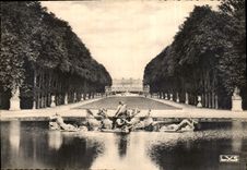 CPM Versailles Allee Royale et Bassin d'Apollon 