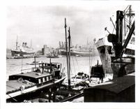 CPM Amsterdam Vue sur le Port 