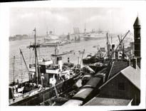 CPM Amsterdam Vue sur le Port 