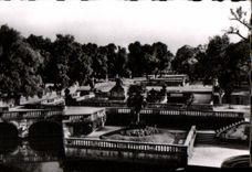 CPM Nimes Jardin de la Fontaine 