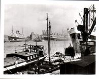 CPM Amsterdam vue sur le Port 