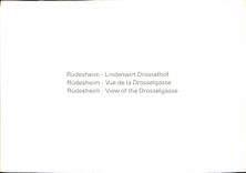 CPM Rudesheim Vue de la Drosselgasse 