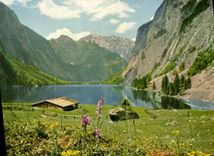CPA Fischunkelalm am Obersee mit Watzmann 