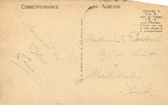 CPA Blois Le Chateau La Facade Francois 1er