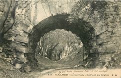 CPA St Cloud Le Parc Le Pont du Diable 