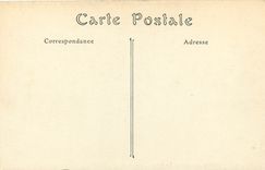 CPA Chateau de Blois la Cour 