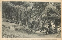 CPA Ile de Noirmoutier Vendee le Bois de la Chaize Allee canduisant a l'Estacade 