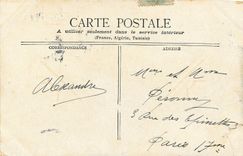 CPA Le Chateau de Blois 