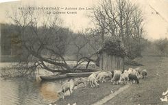 CPA Ville d'Avray Autour des Lacs La Cabane Corot  Moutons