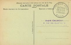 CPA Chateau de Blois L et C Aile Francois I Gargouilles 