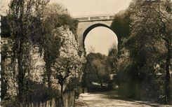 CPA Paris les buttes chaumont le pont 