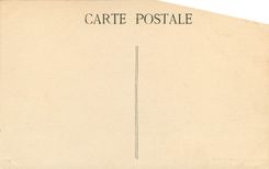 CPA Le Vivier des Landes Environs de Château la Valliere