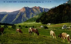 The Mount Gilds CPA the valley of the Mount Gilds and the needles (cows)