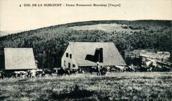 Kragen von Schlucht CPA schliesst Gaststatte Montabey (die Vosges)